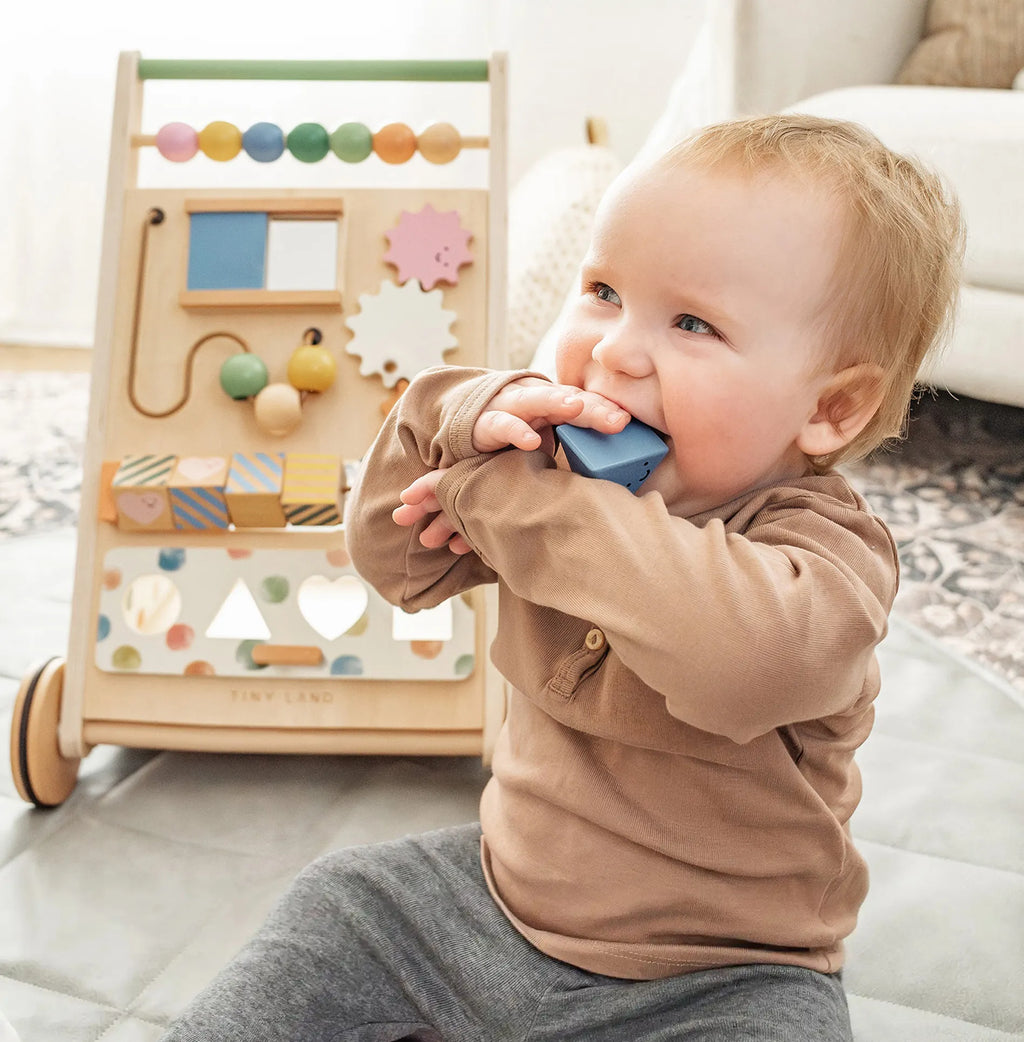 Tiny Land® Natural Wooden Baby Activity Walker